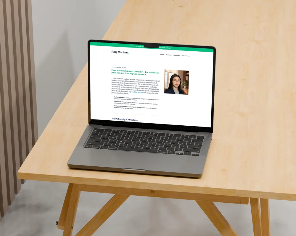 FengMacrow interaction design