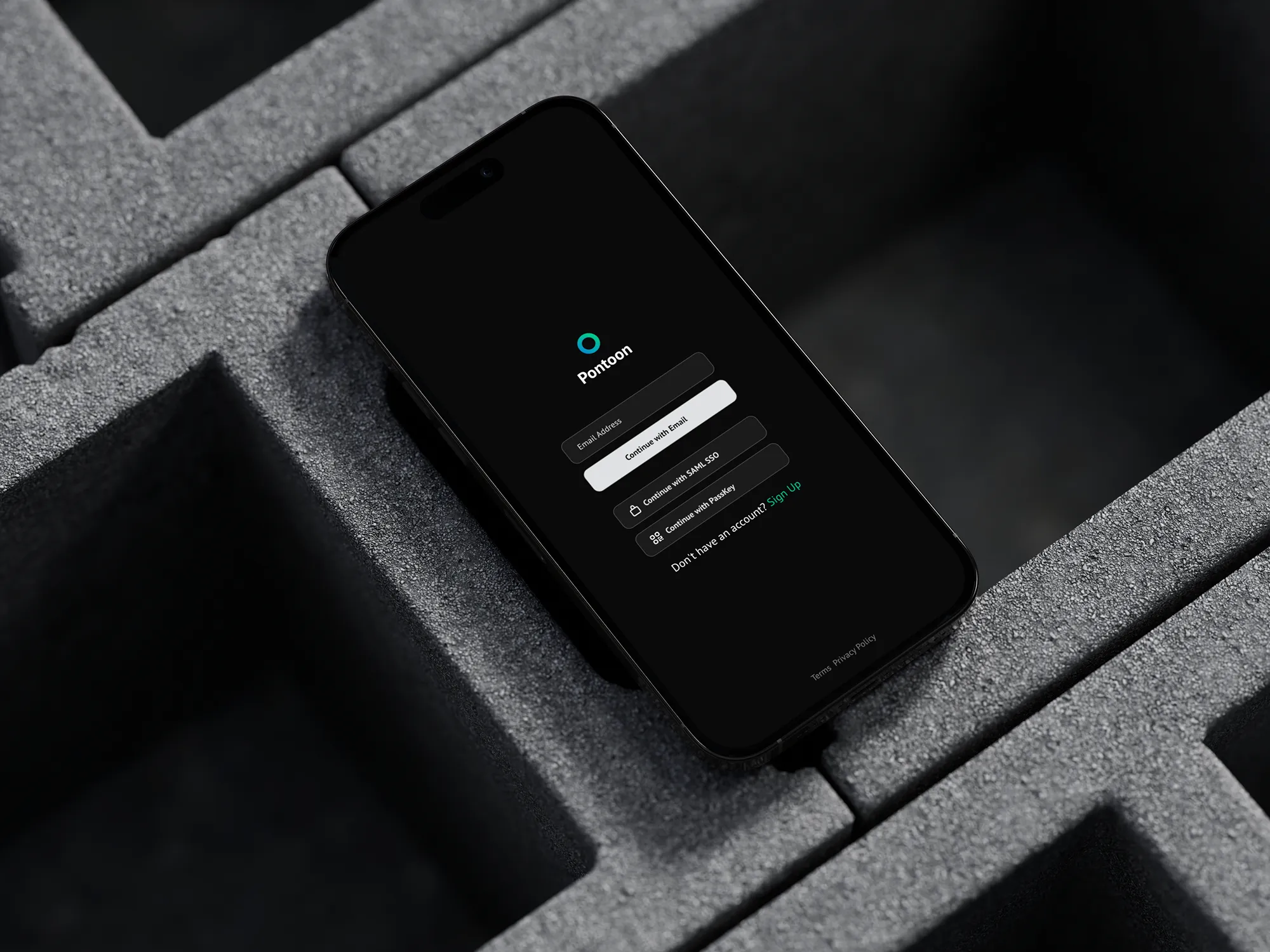 Pontoon enterprise security